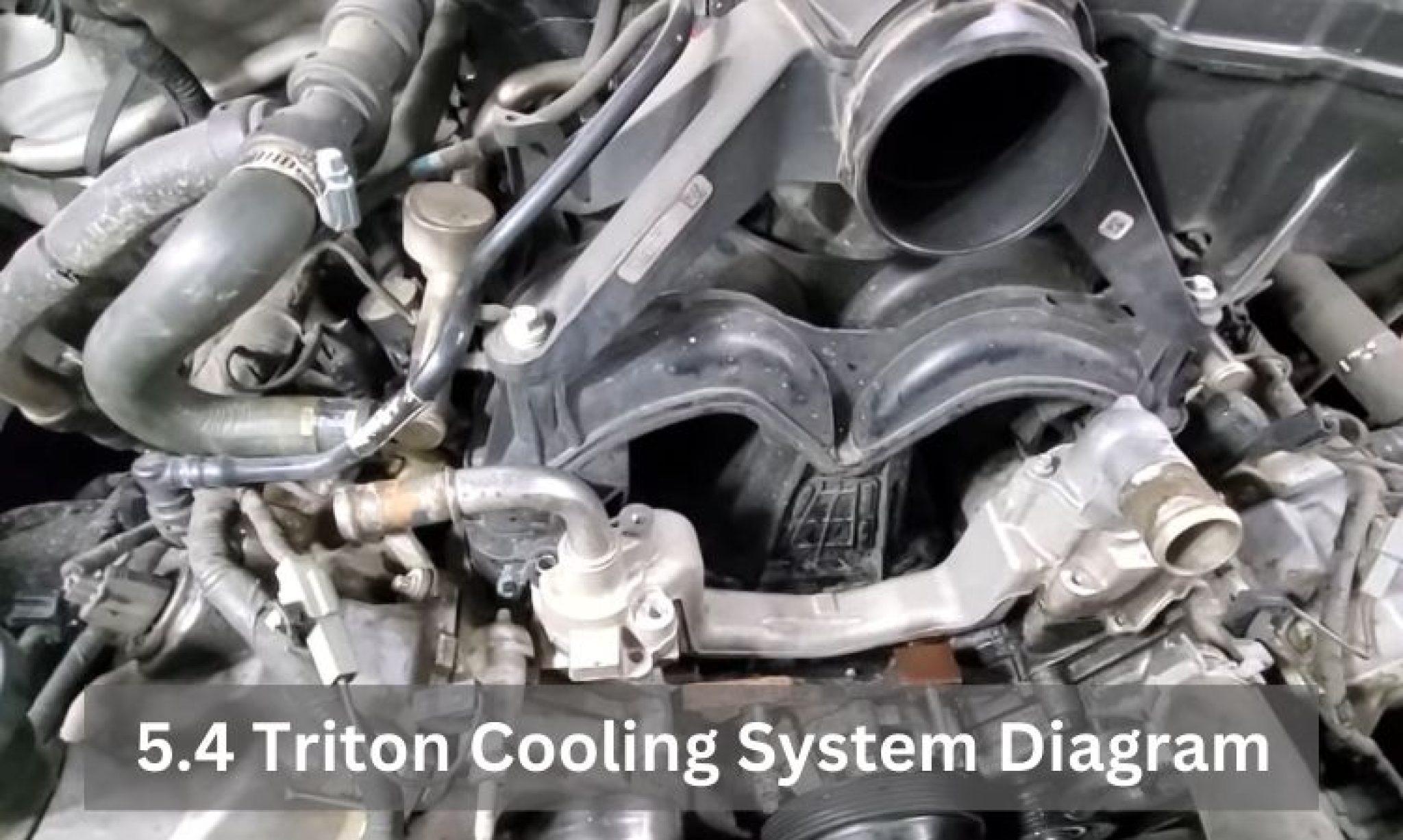 5.4 Triton Cooling System Diagram: Best Guides 2023