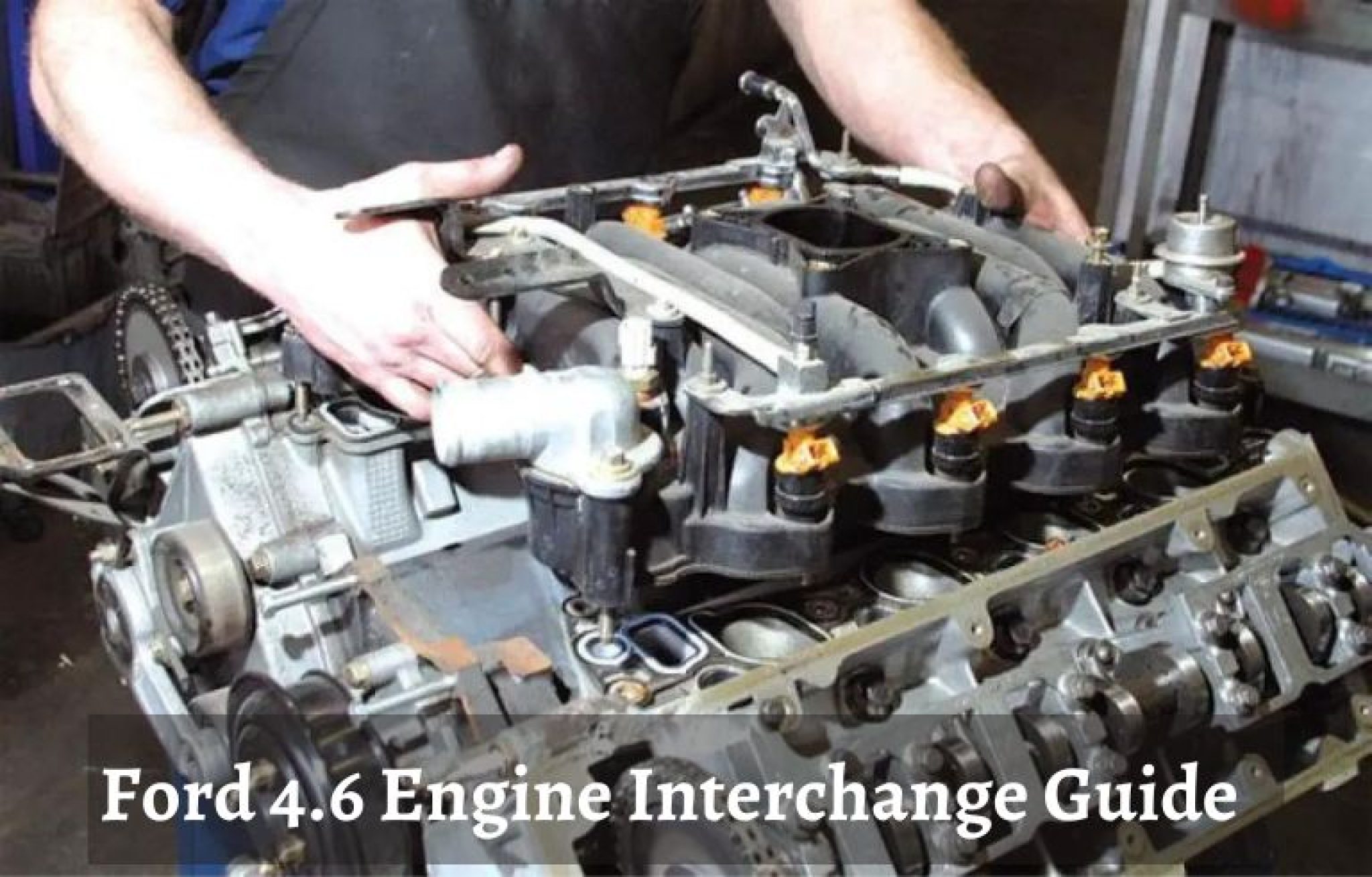 Ford 4.6 Engine Interchange Guide Fordmasterx