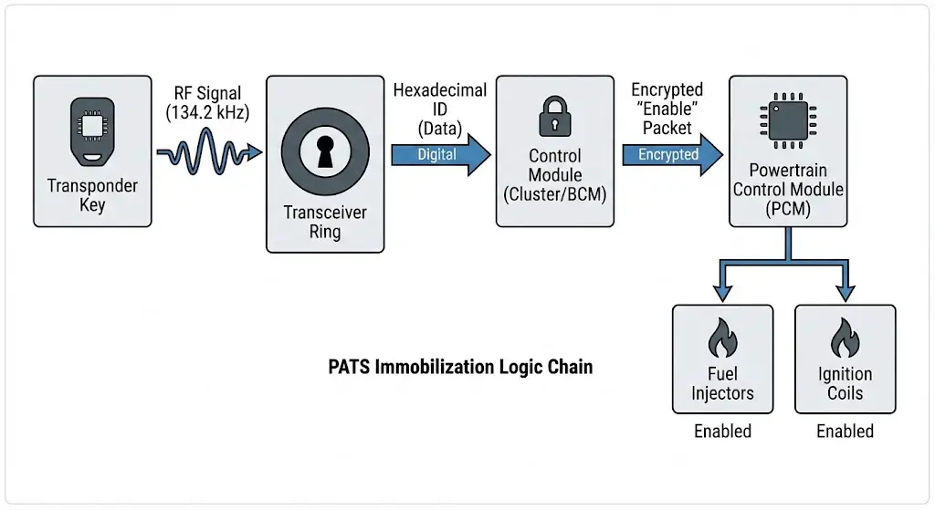 Logic Chain of Immobilization
