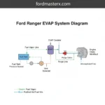 ford ranger evap system diagram diagram with labeled components and explanations