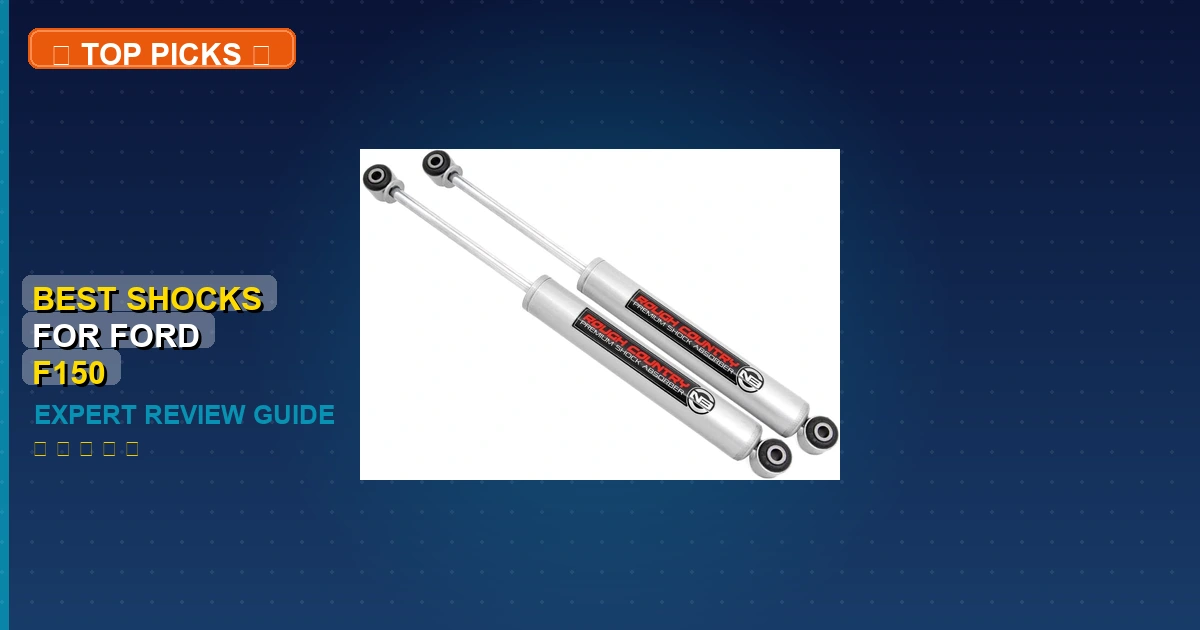 best shocks for ford f150 roundup